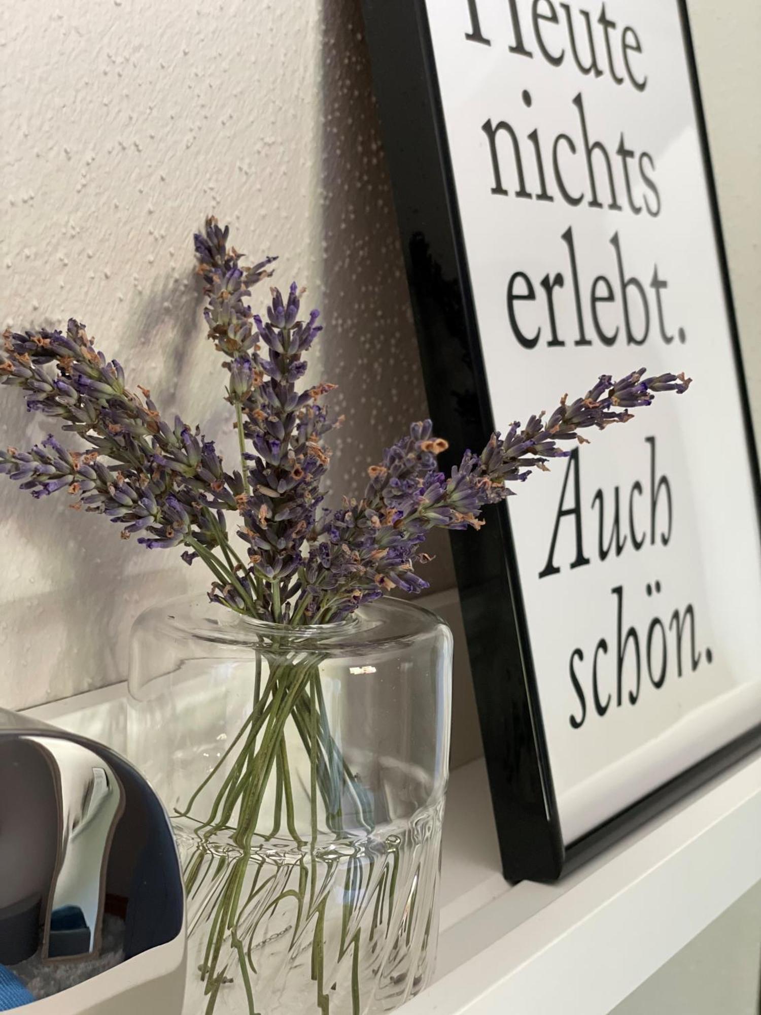 Das Bergquartier - Ferienwohnung Rabenkopf Oberau  Exteriér fotografie